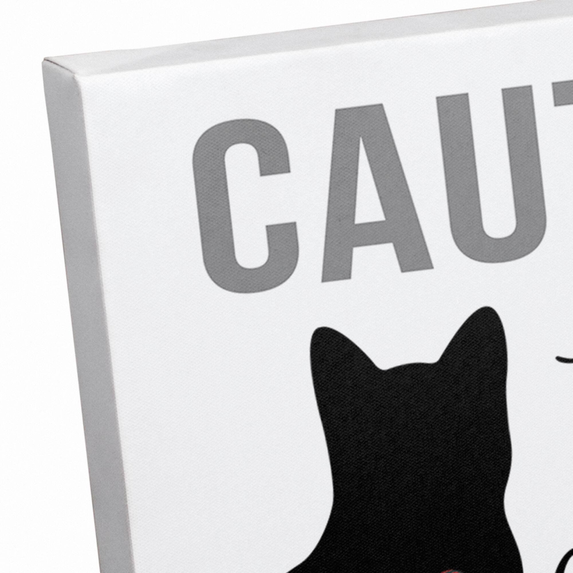 Caution Cat Snuggles Canvas Wall Art